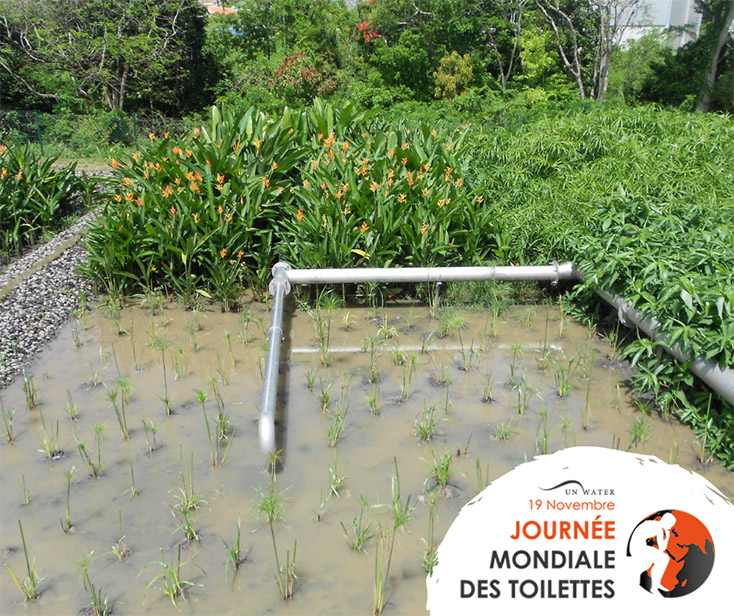 Who cares about toilets? We at CARIBSAN do care about toilets and the sanitation system that support them. 